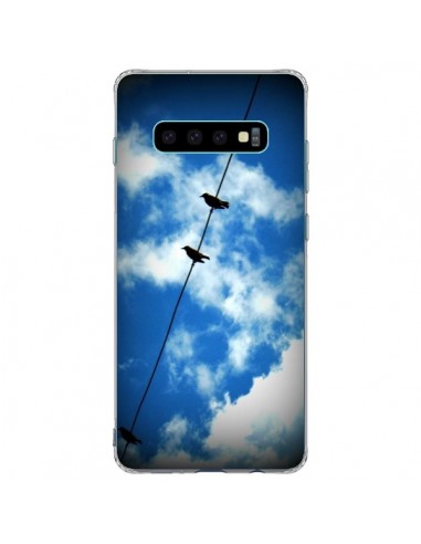 Coque Samsung S10 Plus Oiseau Birds - R Delean
