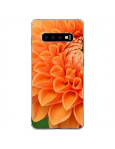 Coque Samsung S10 Plus Fleurs oranges flower - R Delean
