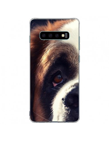 Coque Samsung S10 Plus Saint Bernard Chien Dog - R Delean