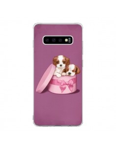 Coque Samsung S10 Chien Dog Boite Noeud - Maryline Cazenave
