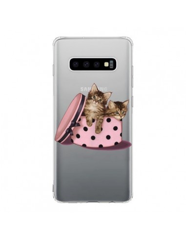 Coque Samsung S10 Chaton Chat Kitten Boite Pois Transparente - Maryline Cazenave