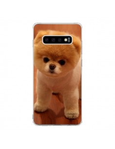 Coque Samsung S10 Boo Le Chien - Nico