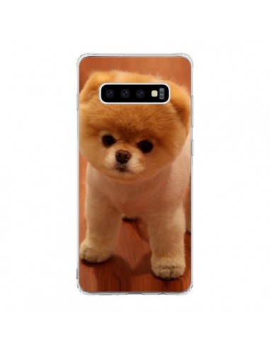 Coque Samsung S10 Boo Le Chien - Nico