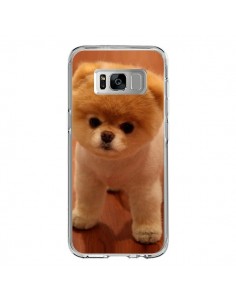 Coque Samsung S8 Boo Le Chien - Nico