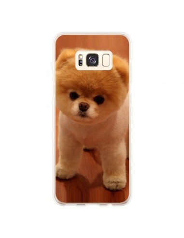 Coque Samsung S8 Plus Boo Le Chien - Nico