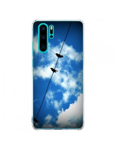 Coque Huawei P30 Pro Oiseau Birds - R Delean